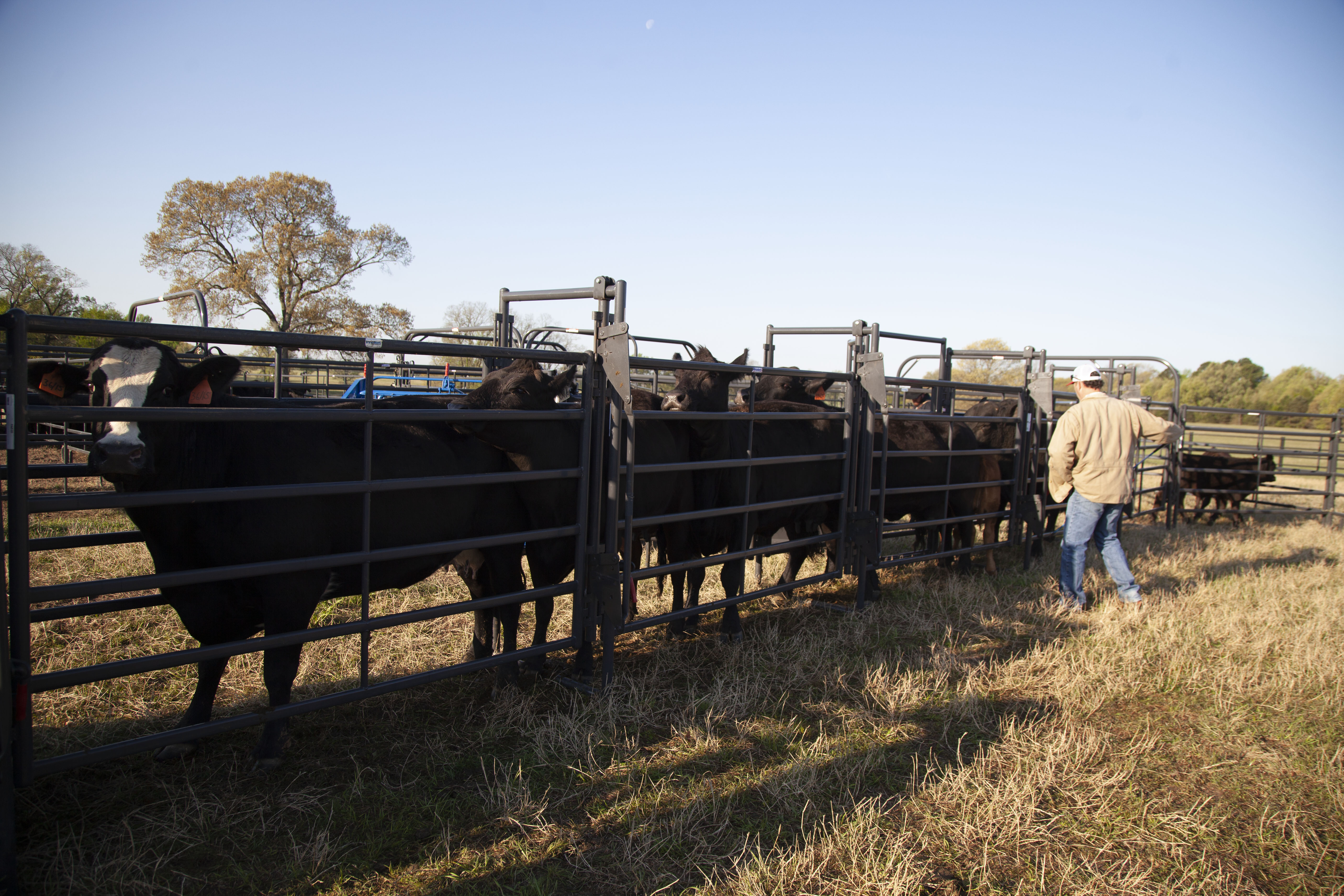 Premier System Adjustable Alley 26.jpg